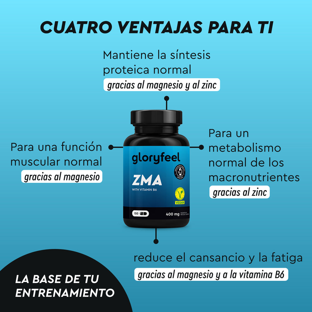 Una botella del suplemento Gloryfeel ZMA, Zinc con Magnesio y Vitamina B6 de gloryfeel GmbH España, está rodeada de un texto que muestra beneficios como una mejor síntesis de proteínas, una mejor función muscular, un metabolismo acelerado y una reducción de la fatiga.