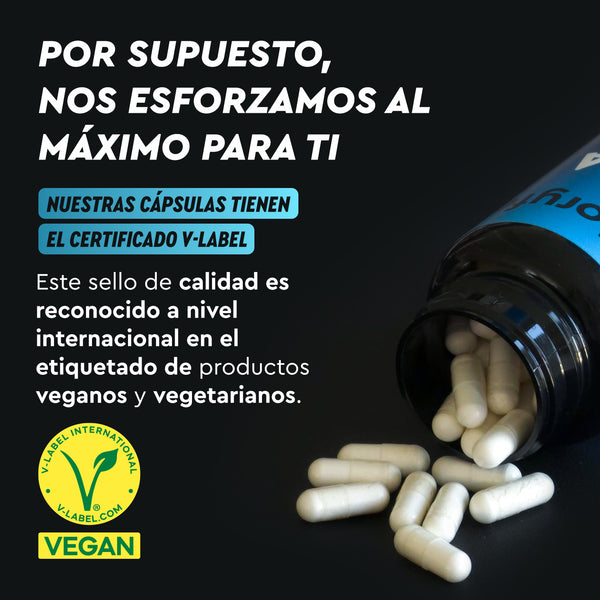 Botella abierta de cápsulas ZMA - Zinc y Magnesio más vitamina B6 de gloryfeel GmbH España, con texto en español sobre certificación vegana y garantía de calidad con el logotipo de V-Label International en la parte inferior.